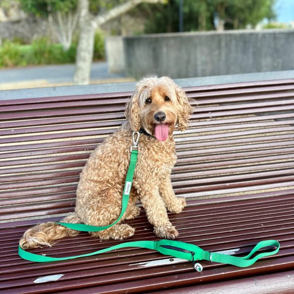 Ziippup Dog Lead with Built-in Poop Bag Holder - Green Online now