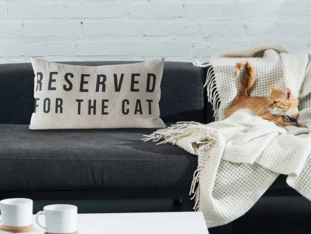 Reserved Cat Pillow Sale