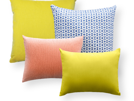 Citrus Pillow Collection Online