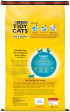 Tidy Cats Non Clumping Instant Action Immediate Odor Control Cat Litter Fashion